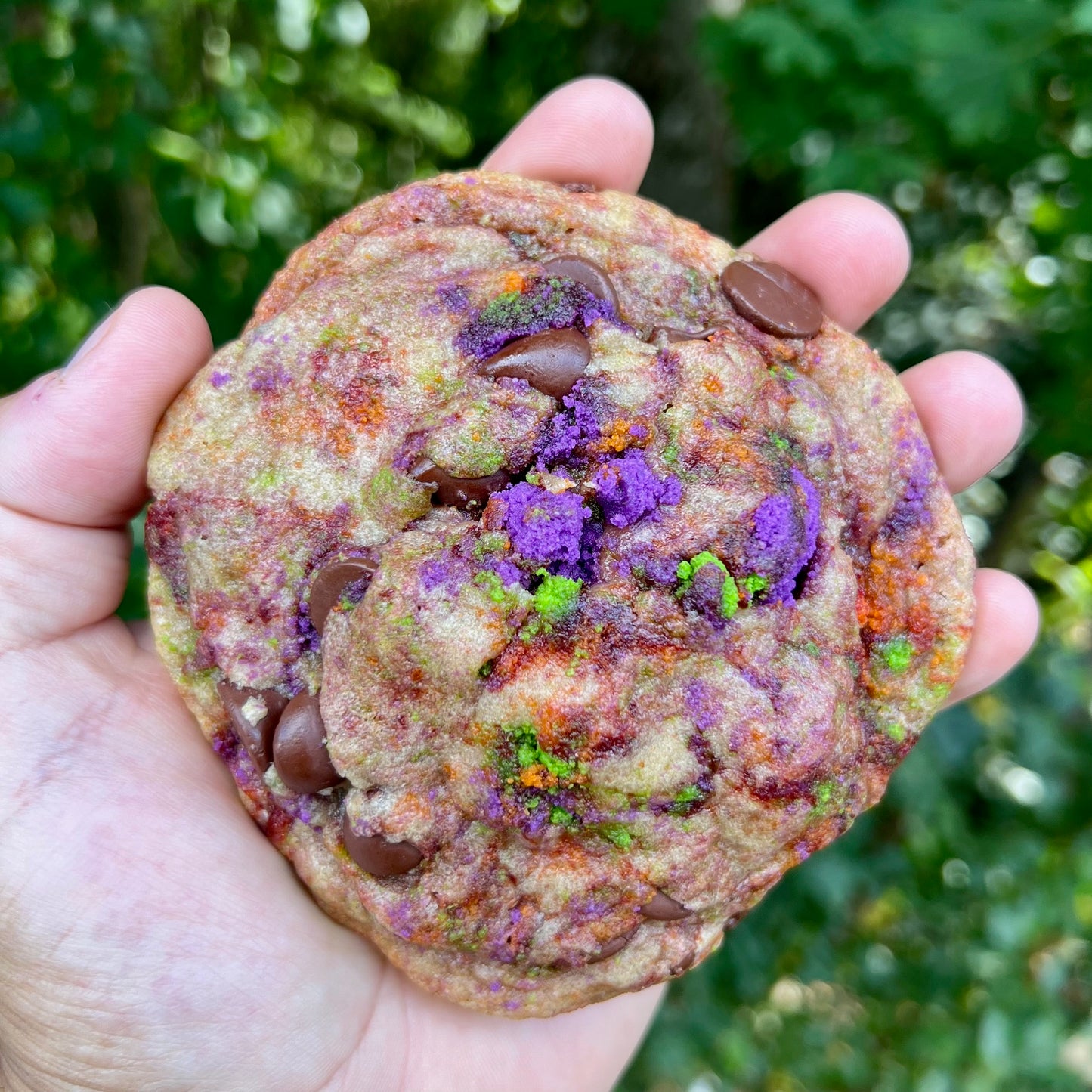 "SPOOKY ITALIAN STALLION"