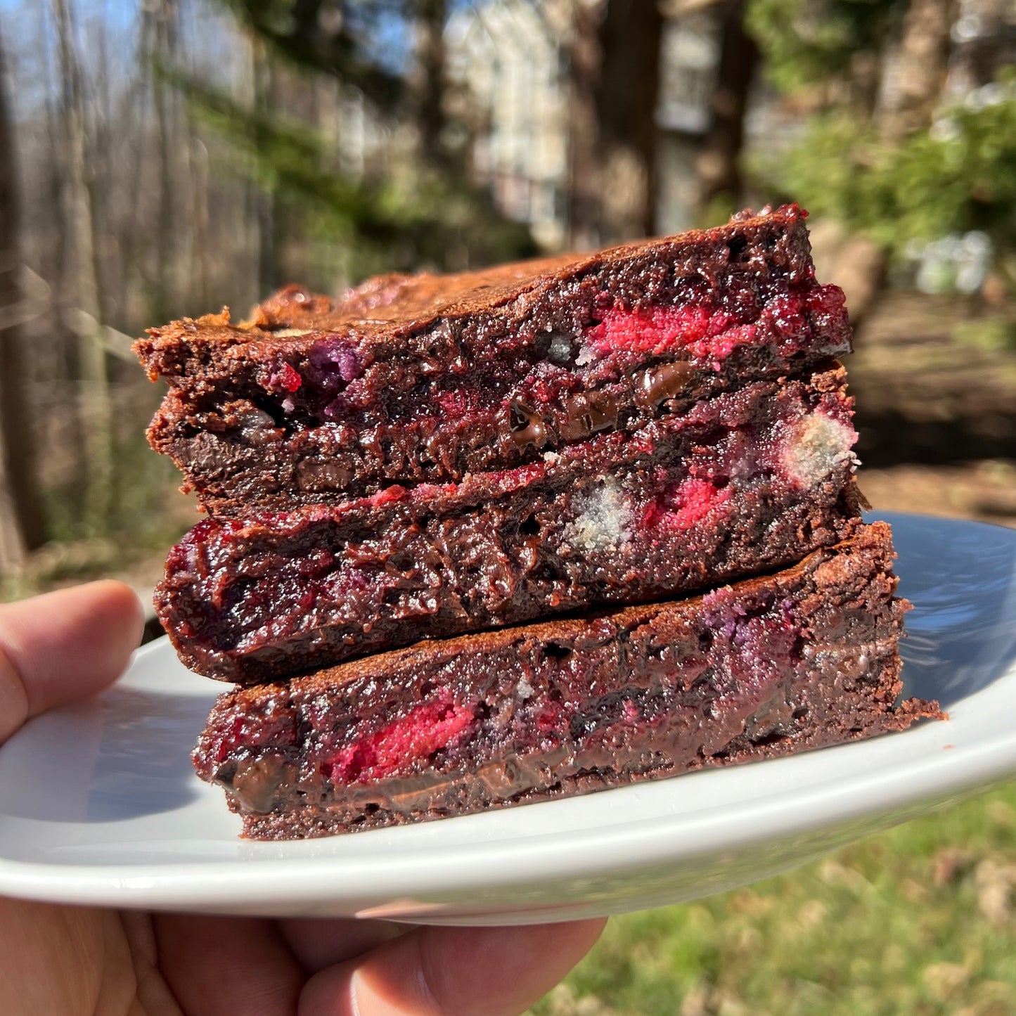 Italian Rainbow Brownie